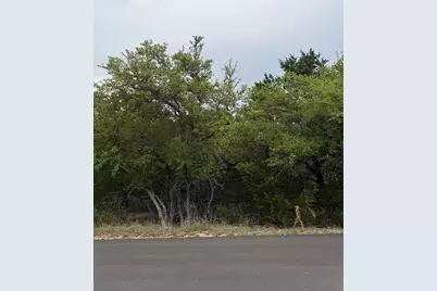 21408 Paine Avenue, Lago Vista, TX 78645 - Photo 2