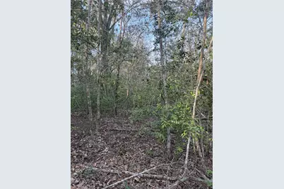 Lot 607 Waimanalo Drive, Bastrop, TX 78602 - Photo 2