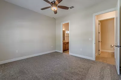 233 Hopping Peach Street, San Marcos, TX 78666 - Photo 22