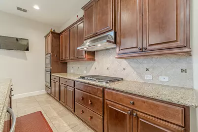 233 Hopping Peach Street, San Marcos, TX 78666 - Photo 12