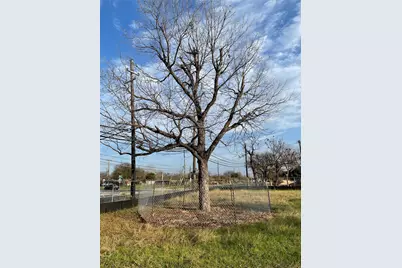 6011 Bolm Road, Austin, TX 78721 - Photo 6