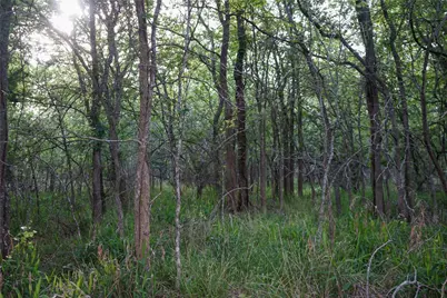 00 McDonald Lane, Bastrop, TX 78612 - Photo 26
