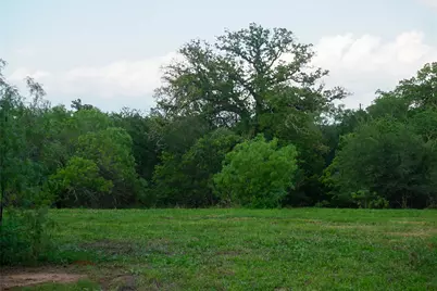 00 McDonald Lane, Bastrop, TX 78612 - Photo 4