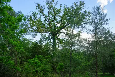 00 McDonald Lane, Bastrop, TX 78612 - Photo 6
