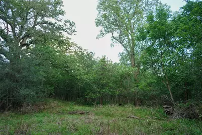 00 McDonald Lane, Bastrop, TX 78612 - Photo 8