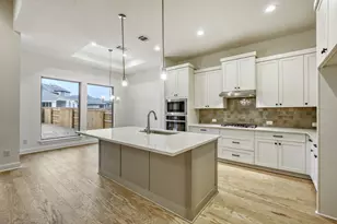 253 Prickly Poppy Loop, Kyle, TX 78640 - Photo 4