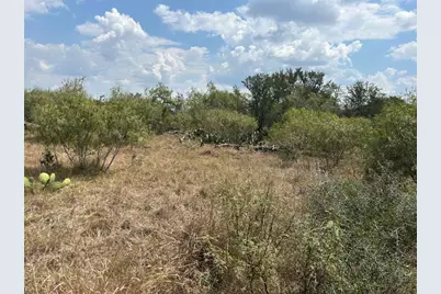 303 Walter Hoffman Road, Cedar Creek, TX 78612 - Photo 4