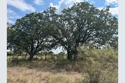 303 Walter Hoffman Road, Cedar Creek, TX 78612 - Photo 1