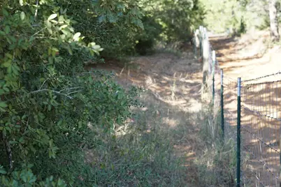 1135 Private Road 7039, Lexington, TX 78947 - Photo 12