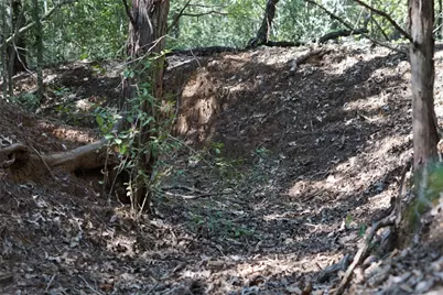 1135 Private Road 7039, Lexington, TX 78947 - Photo 16