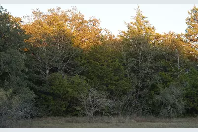 1135 Private Road 7039, Lexington, TX 78947 - Photo 6