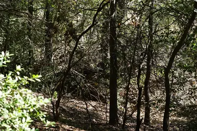 1135 Private Road 7039, Lexington, TX 78947 - Photo 22