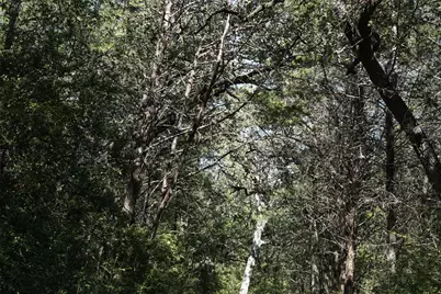 1135 Private Road 7039, Lexington, TX 78947 - Photo 14