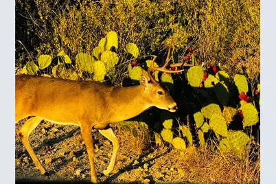 21448 Santa Rosa Avenue, Lago Vista, TX 78645 - Photo 8