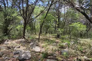 410 Owl Hollow Rd, San Marcos, TX 78666 - Photo 1