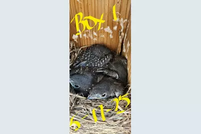 1122 County Road 344 Road, Lexington, TX 78947 - Photo 40