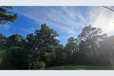 365 Pine Tree Loop, Bastrop, TX 78602 - Photo 2