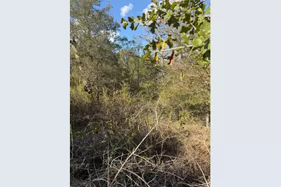 Lot 539 Palikea Circle, Bastrop, TX 78602 - Photo 4