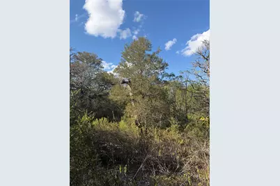 Lot 539 Palikea Circle, Bastrop, TX 78602 - Photo 2