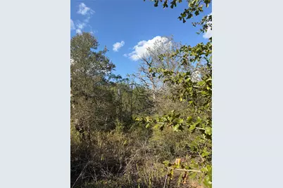 Lot 539 Palikea Circle, Bastrop, TX 78602 - Photo 1