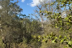 Lot 539 Palikea Circle, Bastrop, TX 78602 - Photo 1