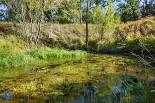 141 Morning Dove Ln, Elgin, TX 78602 - Photo 4