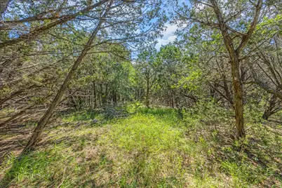 2453 S Rainbow Ranch Road S, Wimberley, TX 78676 - Photo 12