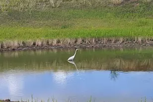 1115 Co Rd 414, Spicewood, TX 78669 - Photo 2