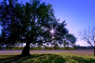 1115 Co Rd 414, Spicewood, TX 78669 - Photo 24