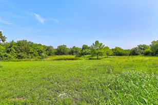 1210 Springridge St, Round Rock, TX 78664 - Photo 38