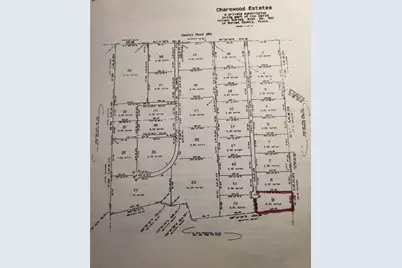 Lot 9 Misty Woods, Bertram, TX 78605 - Photo 4