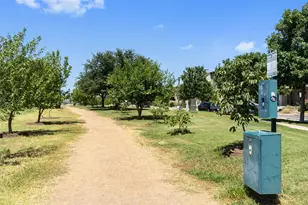 2940 Eckert St, Austin, TX 78722 - Photo 12