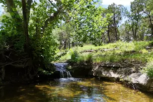5801 Mount Gainor Rd, Dripping Springs, TX 78620 - Photo 28