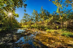 Tbd Fm 2843, Salado, TX 76571 - Photo 1