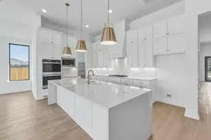 257 Blanco Flats Run, Kyle, TX 78640 - Photo 6