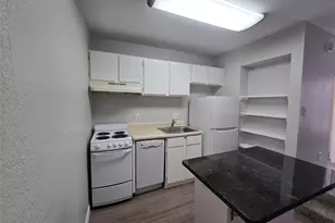 513 S Park Dr, Austin, TX 78704 - Photo 8