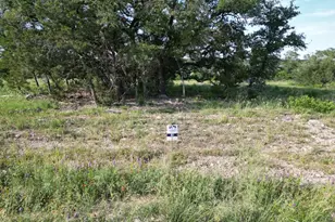 Lot 20 Serenity Dr, Bertram, TX 78605 - Photo 6