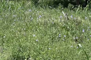 10001 Peterson Rd, Del Valle, TX 78617 - Photo 26