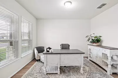 209 Mira Mesa Drive, Liberty Hill, TX 78642 - Photo 4