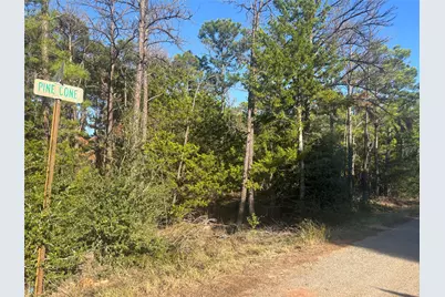 Tbd Pine Cone Drive, Bastrop, TX 78602 - Photo 6