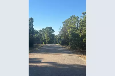 Tbd Pine Cone Drive, Bastrop, TX 78602 - Photo 2