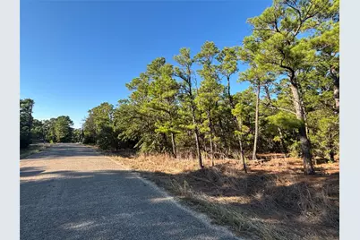 Tbd Pine Cone Drive, Bastrop, TX 78602 - Photo 1