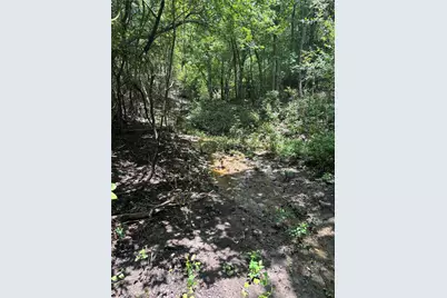 1500 Bottoms East Road, Troy, TX 76579 - Photo 10