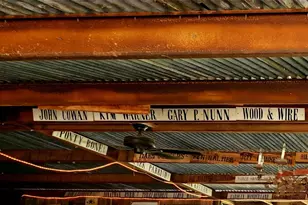 115 Fischer Store Rd, Fischer, TX 78623 - Photo 38