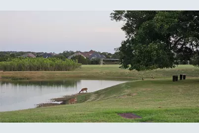 236 Egret Lane, Austin, TX 78737 - Photo 24