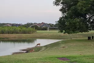 236 Egret Ln, Austin, TX 78737 - Photo 24