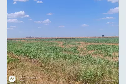 2016 Rolling Meadows Drive, Coupland, TX 78615 - Photo 4