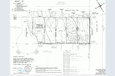 901 - 917 Armadillo Road, Austin, TX 78745 - Photo 4