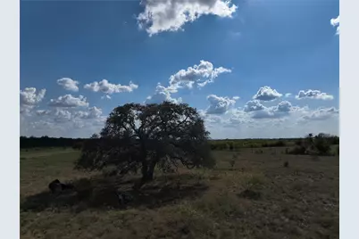 Tbd Lot 9 Tenney Creek Rd Road, Dale, TX 78616 - Photo 12