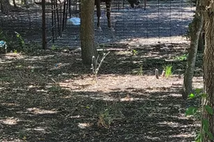 175 Sandoval St, Buda, TX 78610 - Photo 36